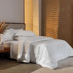 Edred-n-Sue-o-Intenso-King-Blanco-1-39251