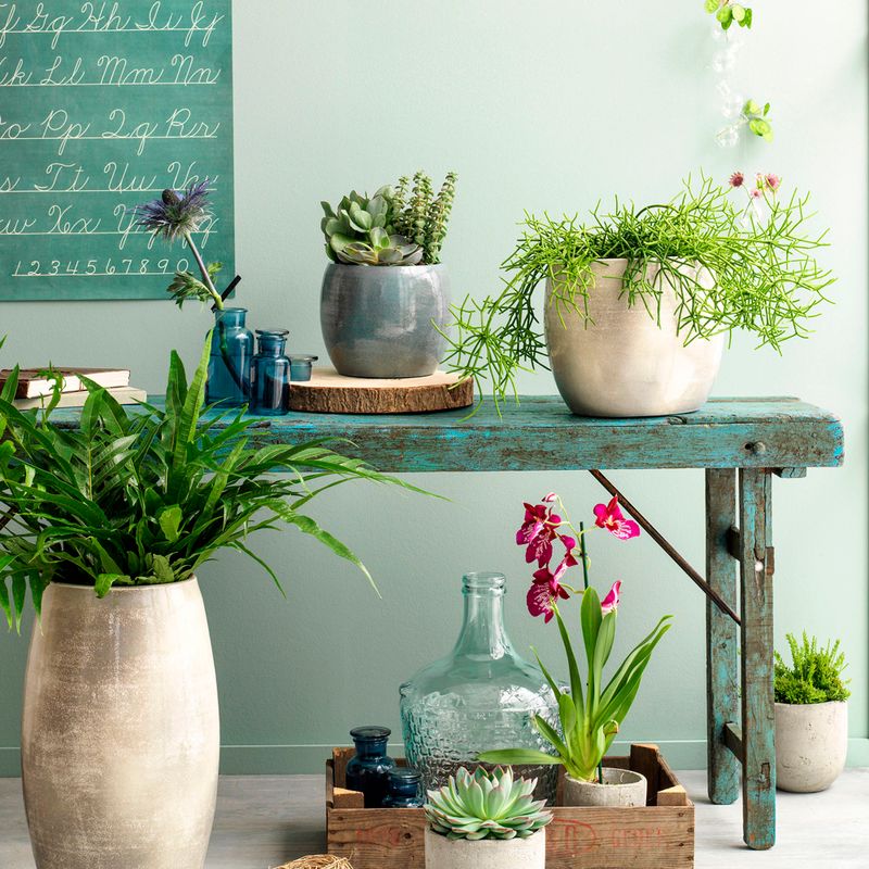 Maceta-decorativa-lester-azul-14x16-cm-2-38599