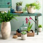 Maceta-decorativa-lester-azul-22x24-cm-2-40784