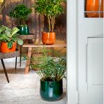 Maceta-decorativa-pablo-verde-16x18-cm-2-40857
