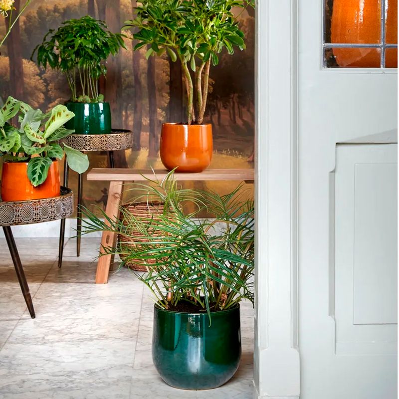 Maceta-decorativa-pablo-verde-16x18-cm-2-40857