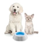 Plato-bebedero-refrescante-para-mascotas-2-40940