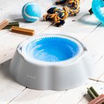 Plato-bebedero-refrescante-para-mascotas-3-40940