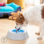 Plato-bebedero-refrescante-para-mascotas-5-40940