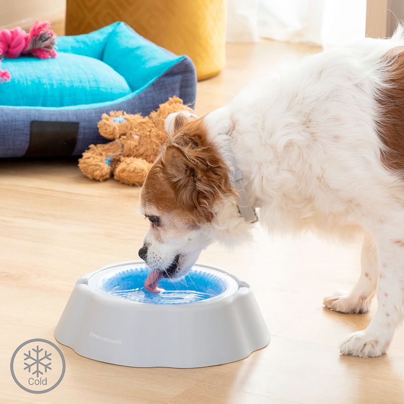 Plato-bebedero-refrescante-para-mascotas-5-40940