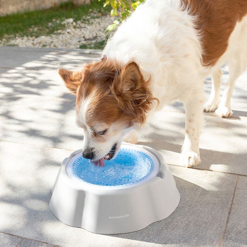 Plato-bebedero-refrescante-para-mascotas-6-40940