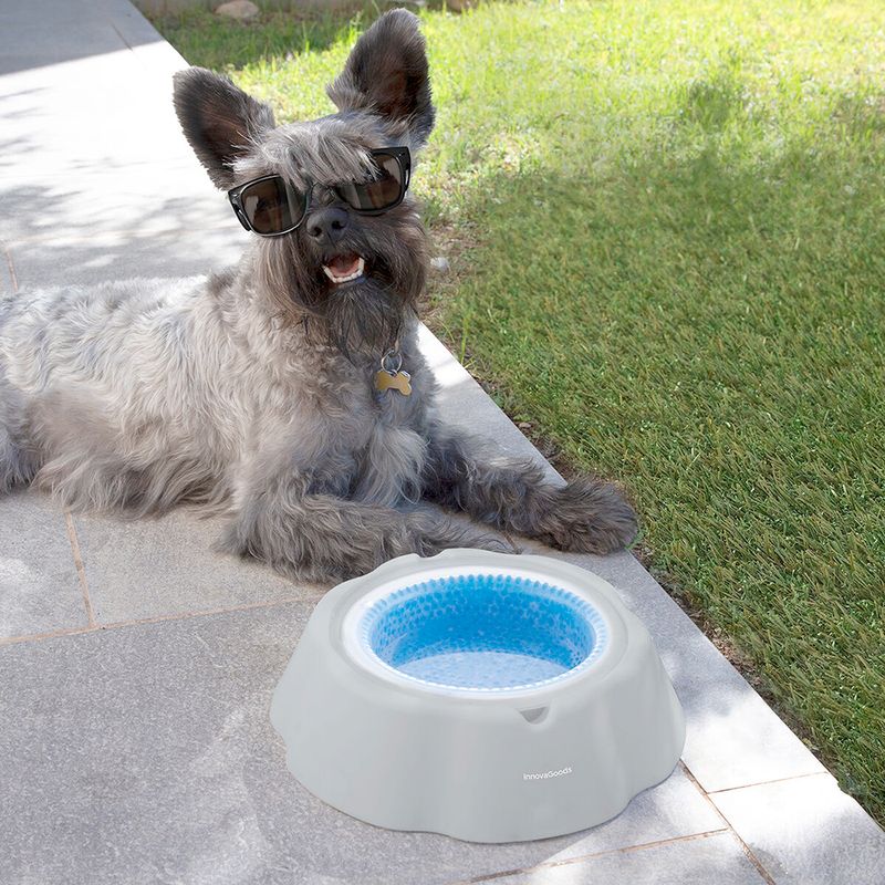Plato-bebedero-refrescante-para-mascotas-7-40940