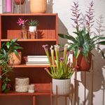 Maceta-decorativa-sara-caf-mate-13x14-cm-2-40994