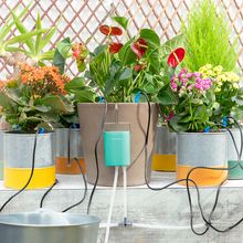 Sistema de Riego automático para jardín