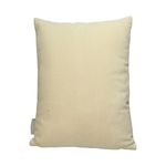 Cojin-terciopleo-suculenta-aloe-verde-45x45-cm-2-41436
