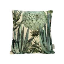 Cojin terciopleo suculenta aloe verde 45x45 cm