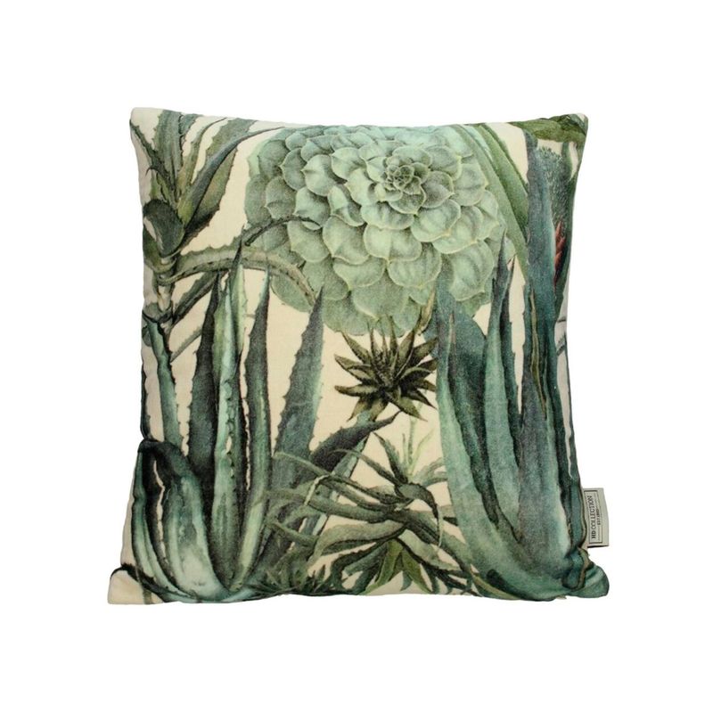 Cojin-terciopleo-suculenta-aloe-verde-45x45-cm-1-41436