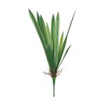 Hoja-Cymbidium-90cm-1-41466
