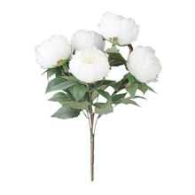 Ramo de Flores Peonia Blanca 45cm
