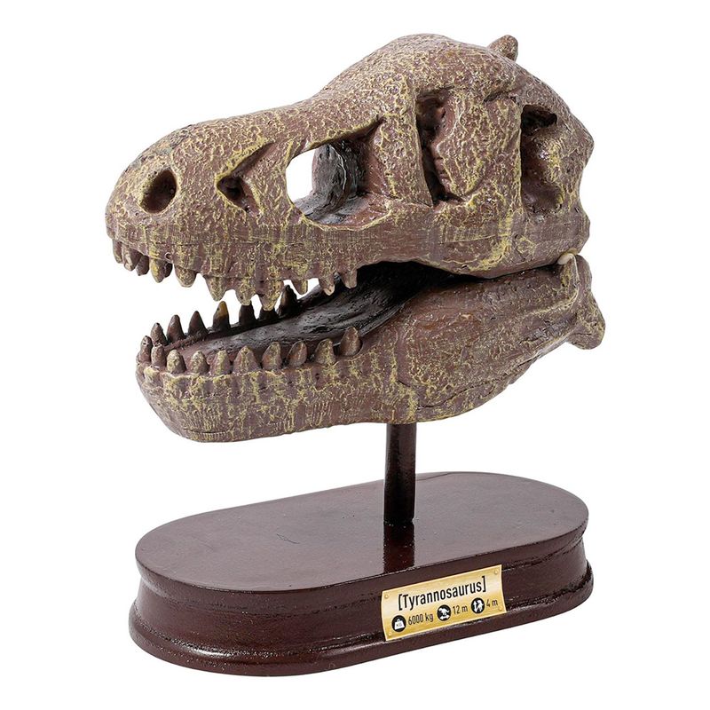 Buki-Cr-neo-del-Museo-T-Rex-2-42307