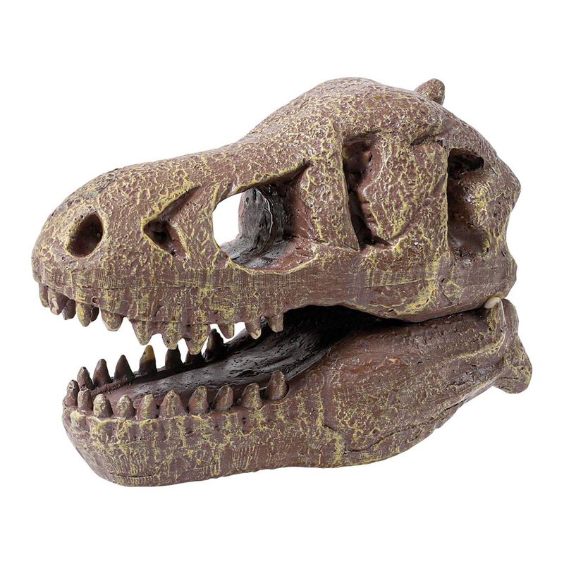 Buki-Cr-neo-del-Museo-T-Rex-3-42307