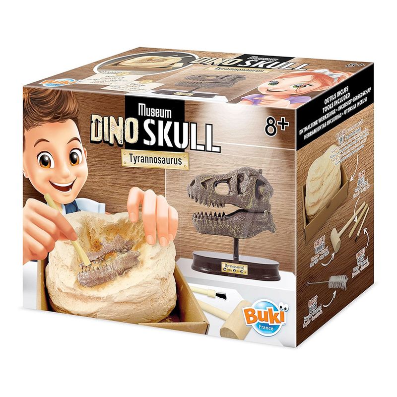 Buki-Cr-neo-del-Museo-T-Rex-7-42307