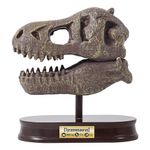 Buki-Cr-neo-del-Museo-T-Rex-1-42307