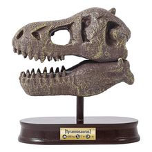 Buki Cráneo del Museo T-Rex