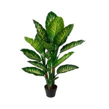 Planta dieffenbachia en maceta 120cm