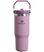 B2B_Web_PNG-The-IceFlow™-Flip-Straw-Tumbler-30OZ---Lilac---Front