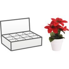 Maceta Ceramica Flor Pascua
