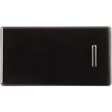 Módulo Interruptor unipolar 10A 250V grafito
