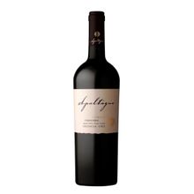 Vino Apaltagua Reserva Carmenere 750 ml