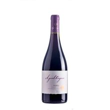Vino Apaltagua Reserva Syrah 750 ml