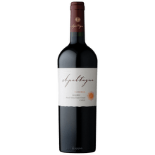 Vino Apaltagua Reserva Malbec 750 ml