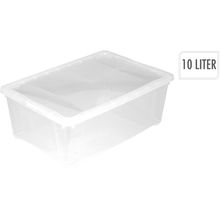 Caja organizadora transparente 10l