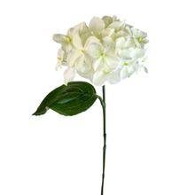 Hortensias artificial blanco