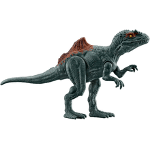 Jw concavenator
