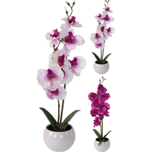Orquidea Artificial 11X39Cm Color Surtx2