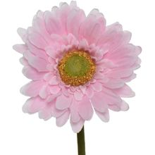 Gerbera Artificial Color Rosa 50cm