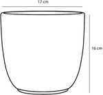 164751_01.png