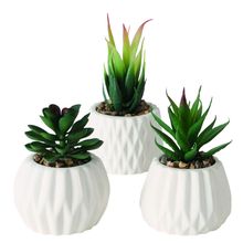 Suculenta Artificial En Maceta Kergan 15Cm Surt X3