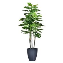 Planta con pote 110cm