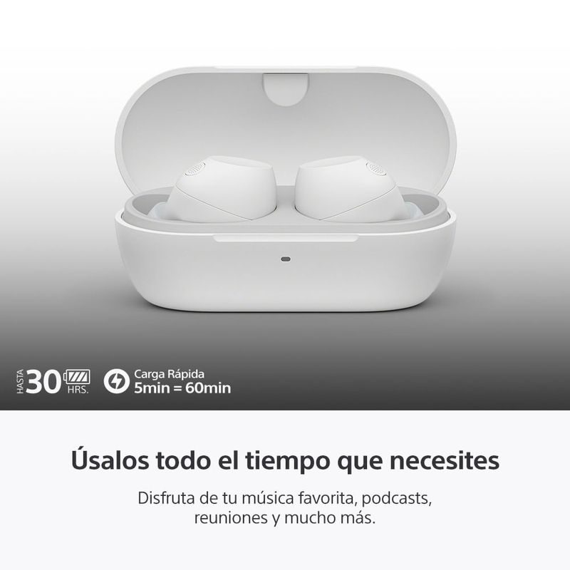 image-b8c73de222c34fe7b2056347798bfebb
