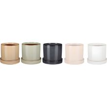 Maceta Decorativa Con Platillo Inger Surt X5