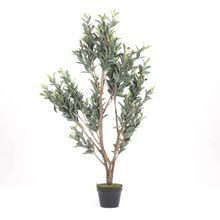 Planta de olivo en maceta 130cm