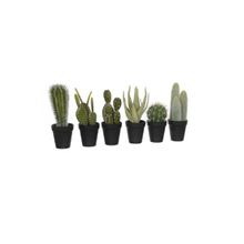 Maceta Con Cactus Verde 28X12 Cm Surt X6