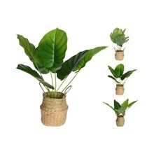 Planta Artificial En Cesta 46Cm Surt X3