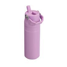 Botella Aerolight Flipstraw 710 ml Lilac