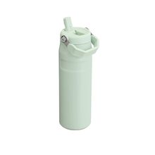 Botella Aerolight Flipstraw 710 ml Mist
