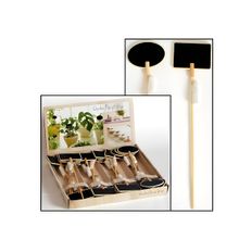 Display Pizarra