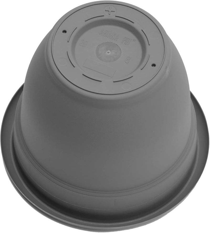 106255-2.jpg