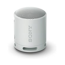 Parlante Sony inalámbrico portátil SRS-XB100 Gris
