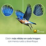 image-87b1fdbfeeaf482aa3a61a3413d2d78a