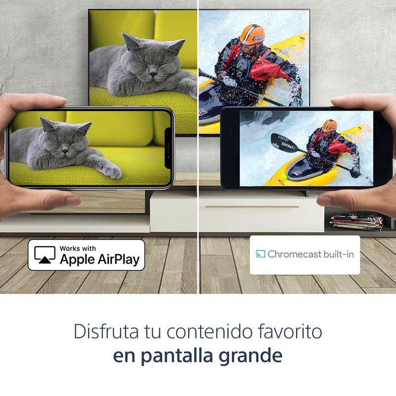 image-cfe4ea9e50d7467e9b988c62caf8baf1